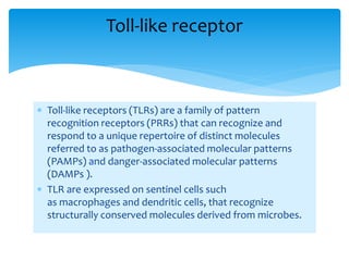 toll_like receptor.pptx