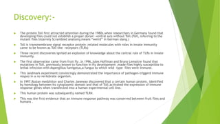Discovery:-
 The protein Toll first attracted attention during the 1980s,when researchers in Germany found that
developing flies could not establish a proper dorsal –ventral axis without Toll.(Toll, referring to the
mutant flies bizarrely Scrambled anatomy,means “weird” in German slang.)
 Toll is transmembrane signal receptor protein ;related molecules with roles in innate immunity
came to be known as Toll-like receptors (TLRs)
 Three recent discoveries ignited an explosion of knowledge about the central role of TLRs in innate
immunity.
 The first observation came from fruit fly .In 1996,Jules Hoffman and Bruno Lemaitre found that
mutations in Toll, previously known to function in fly development ,made flies highly susceptible to
lethal infection with Aspergillus fumigatus,a fungus to which wild –type flies were immune.
 This landmark experiment convincingly demonstrated the importance of pathogen-triggerd immune
respoo in a no vertebrate organism.
 In 1997,Ruslan medzhitov and Charles Janeway discovered that a certain human protein, identified
by homology between its cytoplasmic domain and that of Toll,activated the expression of immune
response genes when transfected into a human experimental cell line.
 This human protein was subsequently named TLR4.
 This was the first evidence that an immune response pathway was conserved between fruit flies and
humans .
 
