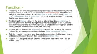 Function:-
 The ability of the immune system to recognize molecules that are broadly shared
by pathogens is ,in part due to the presence of immune receptors called Toll-like
receptors that are expressed on the membrane of leukocytes including dendritic
cells , macrophages,natural killer cells ,cells of the adaptive immunityT cells ,and
B cells , and non immune cells.
 The binding of ligands - either in the form of adjuvant used in vaccination or in
the form of invasive moieties during times of natural infection-to the TLR marks
the key molecular events that utilmately lead to innate immune responses and the
development of antigens –specific acquired immunity.
 Upon activation ,TLRs recruit adaptor proteins within the cytosol of the immune
cell in order to propagate the antigen –induced signal transduction pathway.
 Toll –like receptors have also been shown to be an important link between innate
and adaptive immunity through their presence in dendritic cells.
 Flagellin ,a TLR5 ligand,induces cytokine secretion on interacting with TLR5 on
human T cells.
 