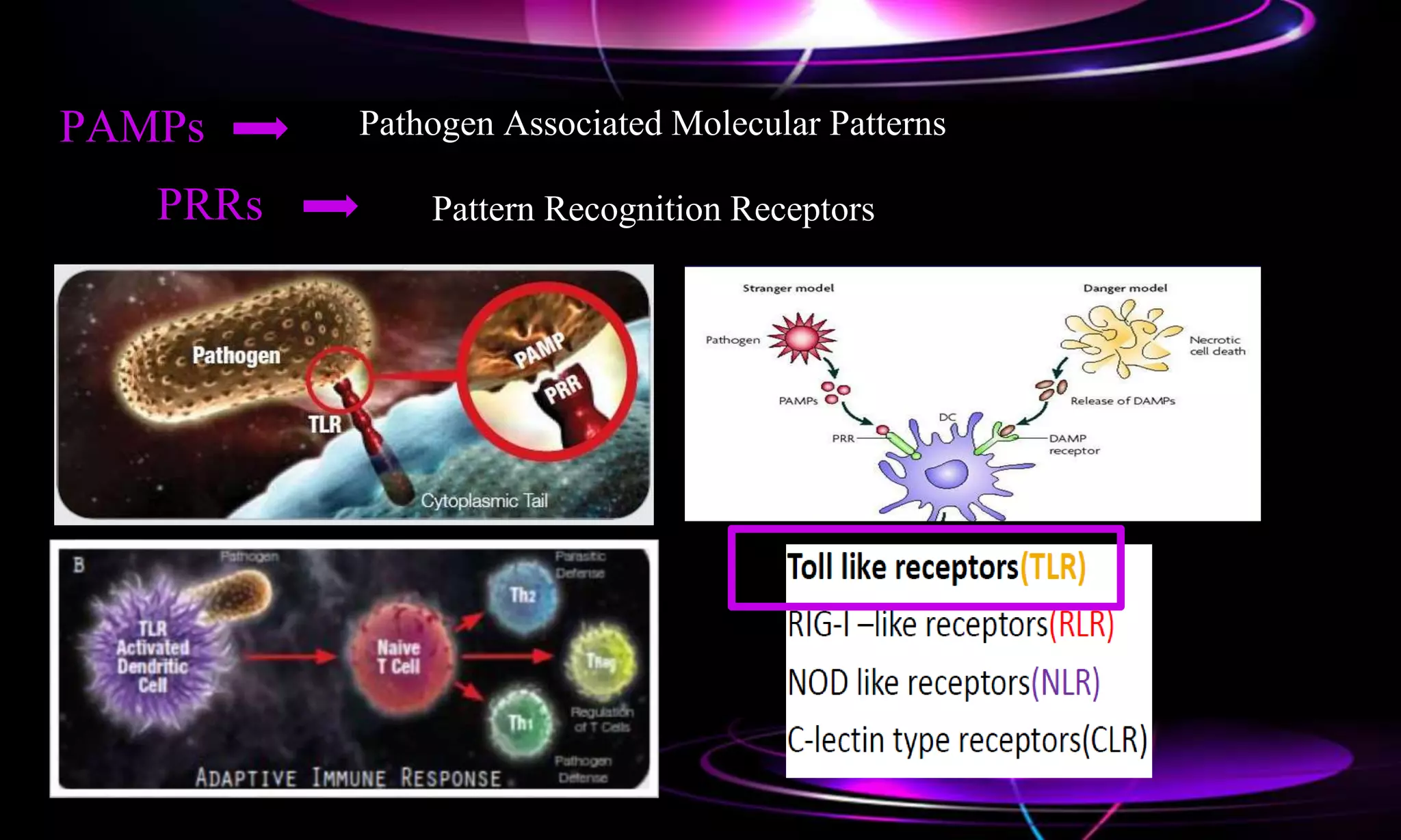 Toll like receptors | PPT