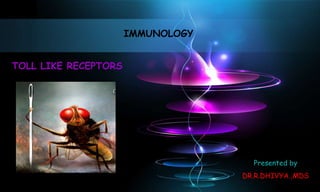 TOLL LIKE RECEPTORS
IMMUNOLOGY
Presented by
DR.R.DHIVYA.,MDS
 