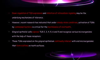 Toll like receptors | PPT