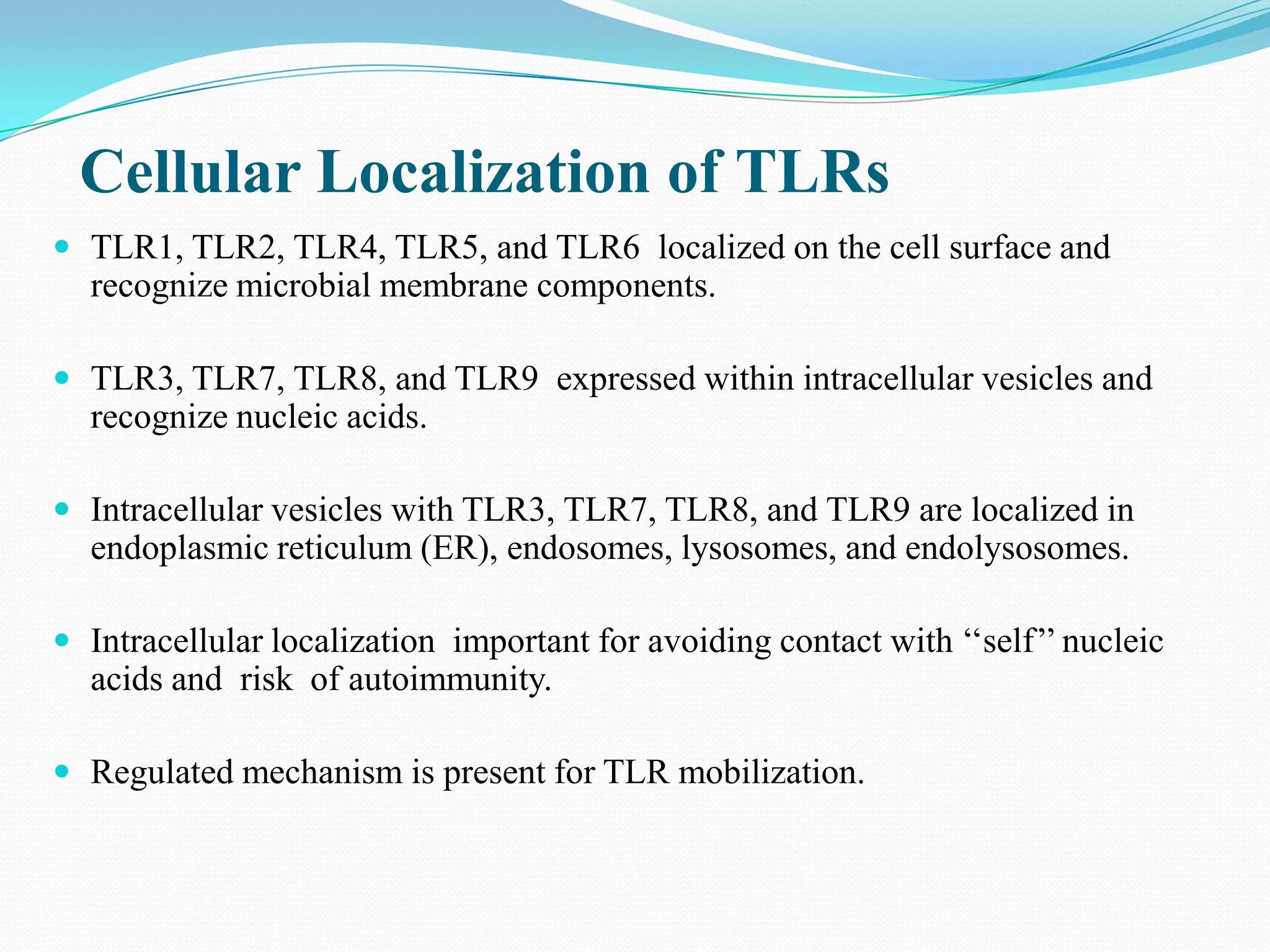 Cellular Localization of TLRs
 TLR1, TLR2, TLR4, TLR5, and TLR6 localized on the cell surface and
  recognize microbial membrane components.

 TLR3, TLR7, TLR8, and TLR9 expressed within intracellular vesicles and
  recognize nucleic acids.

 Intracellular vesicles with TLR3, TLR7, TLR8, and TLR9 are localized in
  endoplasmic reticulum (ER), endosomes, lysosomes, and endolysosomes.

 Intracellular localization important for avoiding contact with ‘‘self’’ nucleic
  acids and risk of autoimmunity.

 Regulated mechanism is present for TLR mobilization.
 