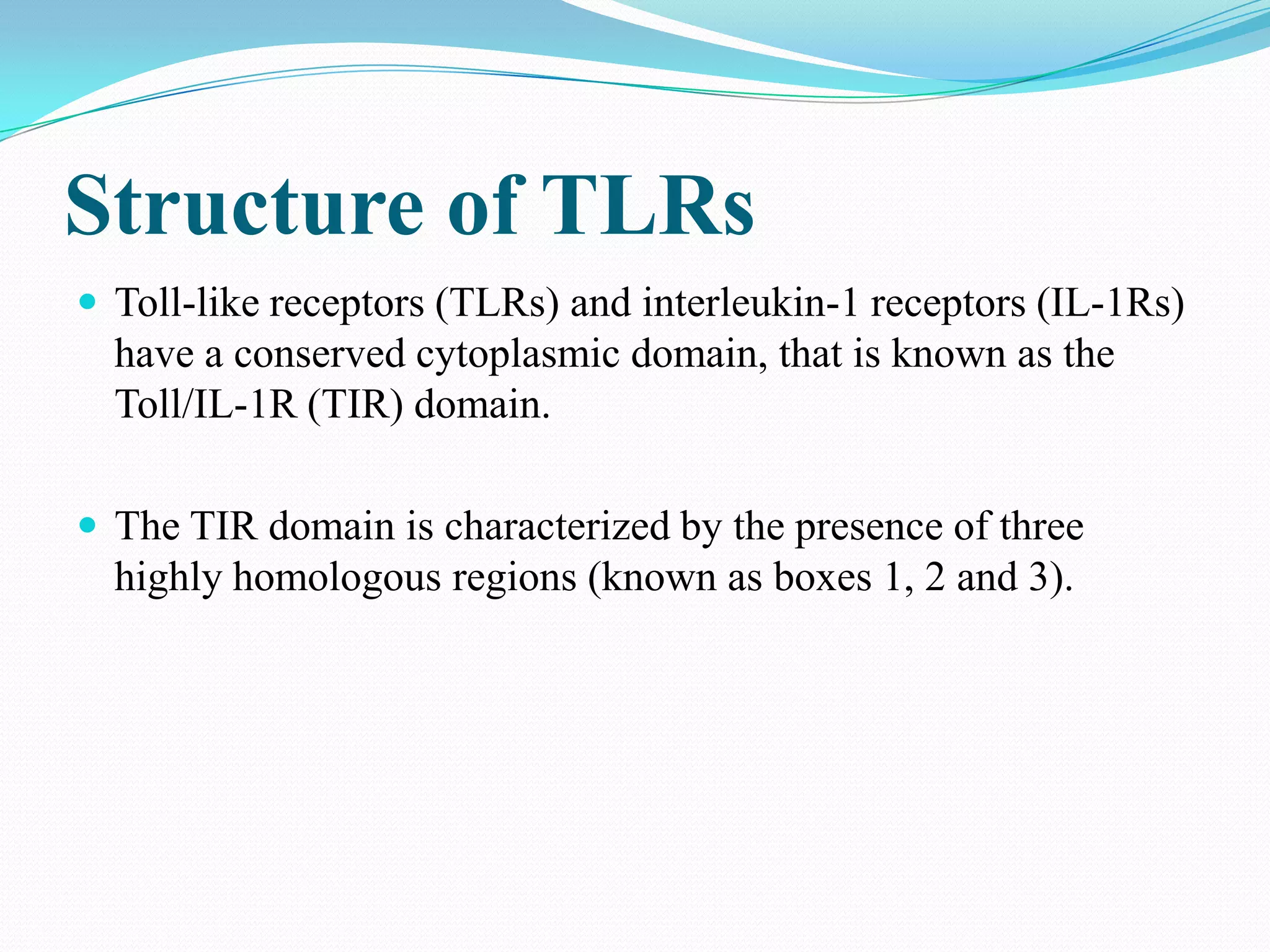 Structure of TLRs
 Toll-like receptors (TLRs) and interleukin-1 receptors (IL-1Rs)
  have a conserved cytoplasmic domain, that is known as the
  Toll/IL-1R (TIR) domain.

 The TIR domain is characterized by the presence of three
  highly homologous regions (known as boxes 1, 2 and 3).
 