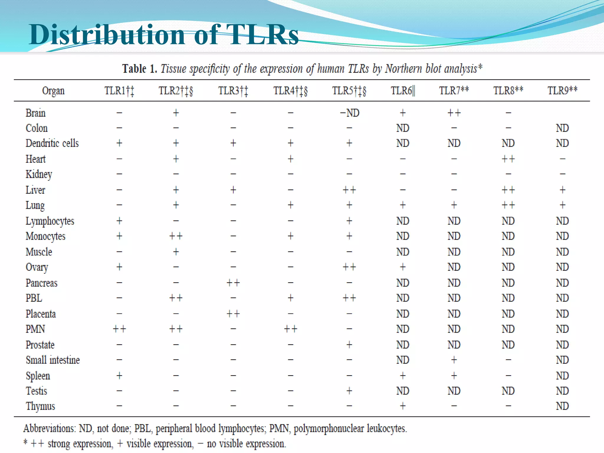 Distribution of TLRs
 