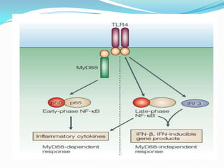Toll like receptors | PPTX