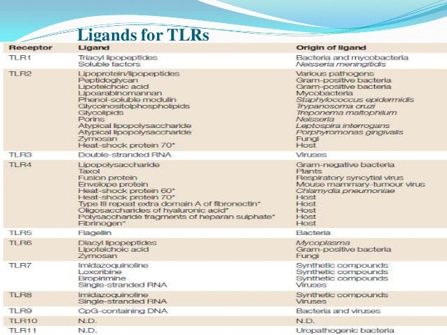 ebook novel immune potentiators and delivery technologies for next generation vaccines