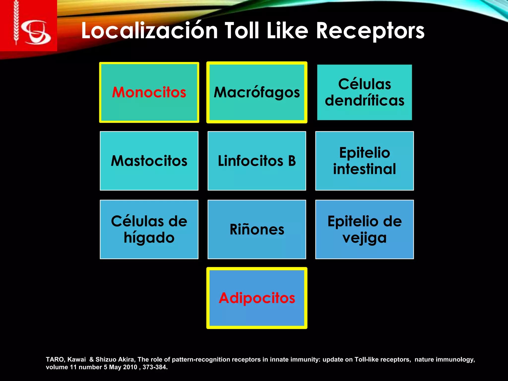 Localización Toll Like Receptors
TARO, Kawai & Shizuo Akira, The role of pattern-recognition receptors in innate immunity: update on Toll-like receptors, nature immunology,
volume 11 number 5 May 2010 , 373-384.
Monocitos Macrófagos
Células
dendríticas
Mastocitos Linfocitos B
Epitelio
intestinal
Células de
hígado
Riñones
Epitelio de
vejiga
Adipocitos
 