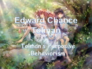 Tolman