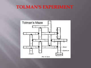 TOLMAN'S EXPERIMENT
 