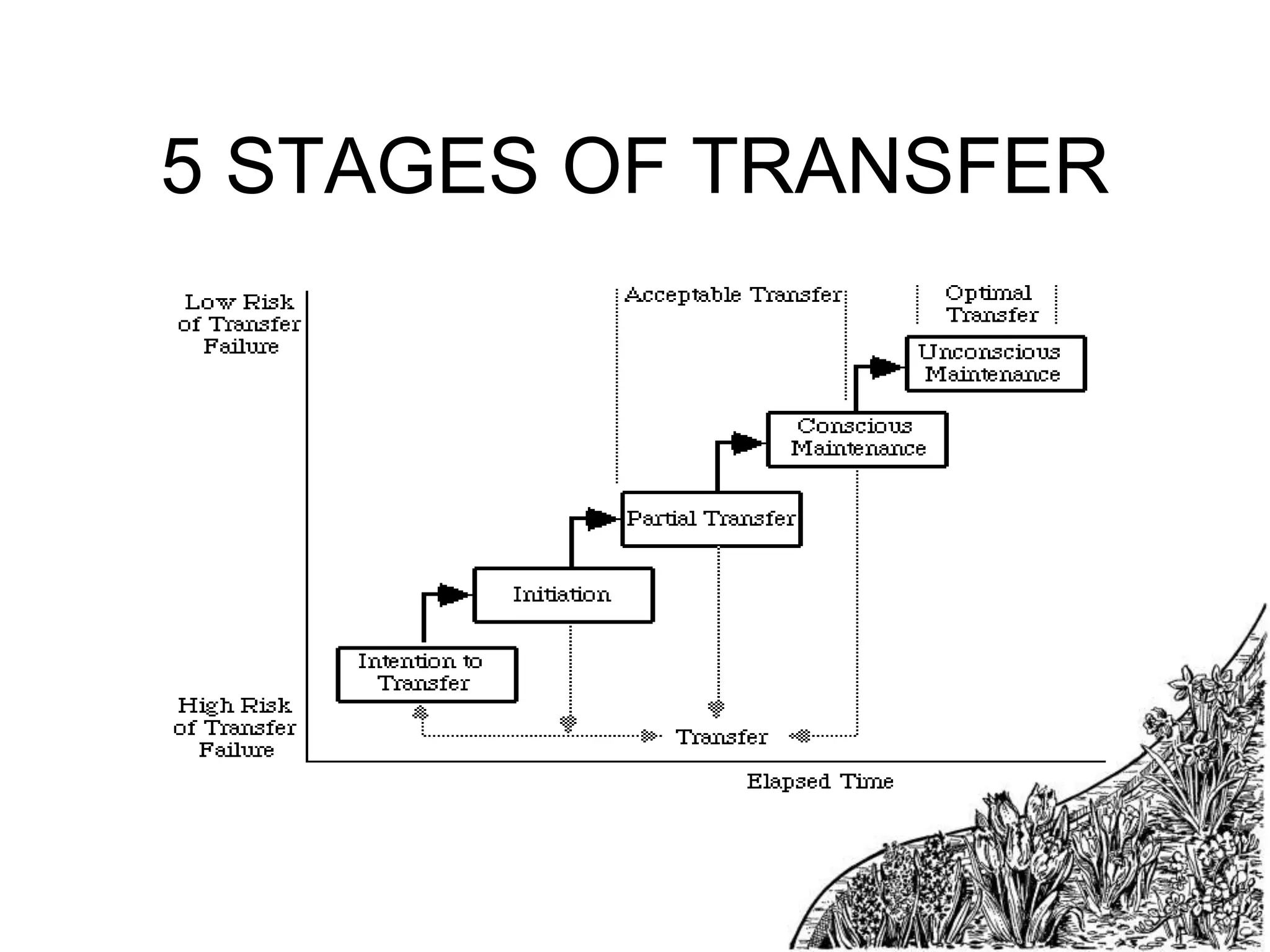 5 STAGES OF TRANSFER

 