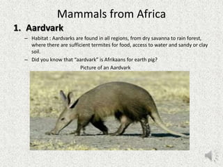 Tolu science project 9 5-2012 | PPT