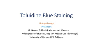 Toluidine Blue Staining
Histopathology
Presenters
Mr. Naeem Bukhari & Muhammad Waseem
Undergraduate Students, Dep't Of Medical Lab Technology;
University of Haripur, KPK, Pakistan.
 