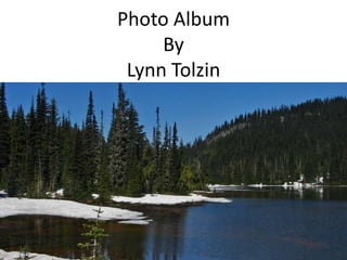 Photo AlbumByLynn Tolzin 