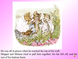 He was all in pieces when he reached the top of the wall. Moppet and Mittens tried to pull him together; his hat fell off, and the rest of his buttons burst. 