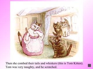 Then she combed their tails and whiskers (this is Tom Kitten). Tom was very naughty, and he scratched. 