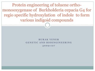 Protein engineering of toluene ortho-
monooxygenase of Burkholderia cepacia G4 for
regio specific hydroxylation of indole to form
         various indigoid compounds



                   BURAK YENER
            GENETIC AND BIOENGINEERING
                      50091127
 