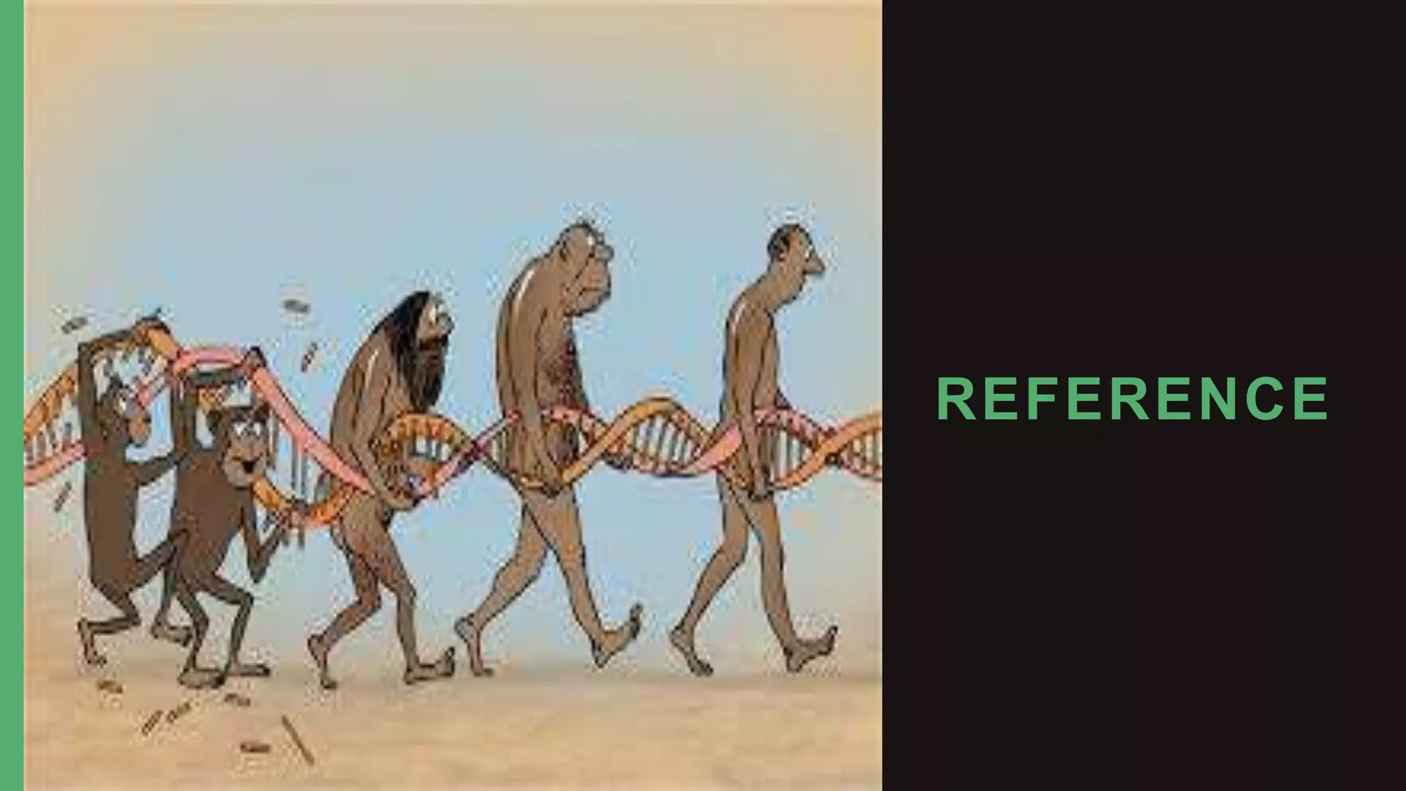 Types of Mutation Frameshift, Reversion and Spontaneous PPT