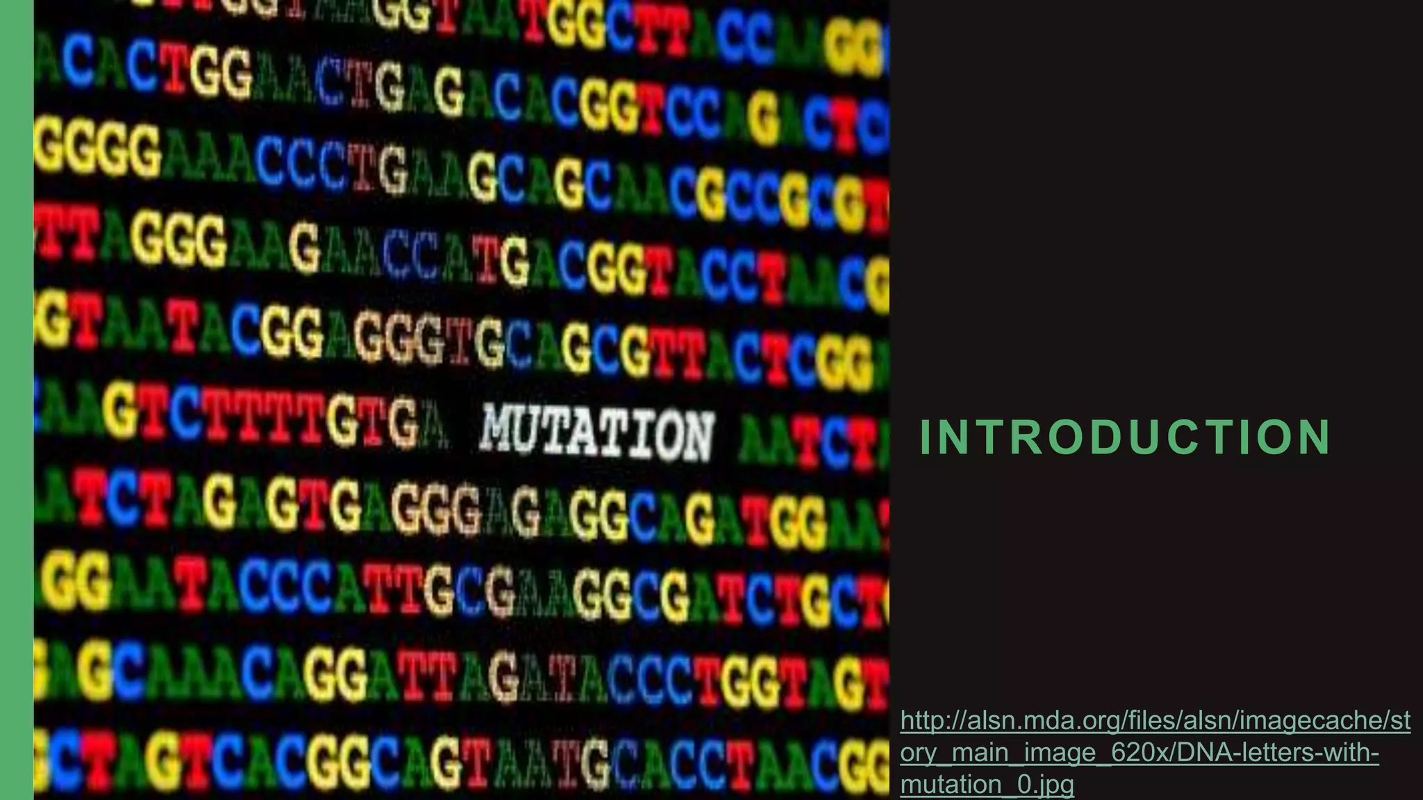 Types of Mutation Frameshift, Reversion and Spontaneous PPT