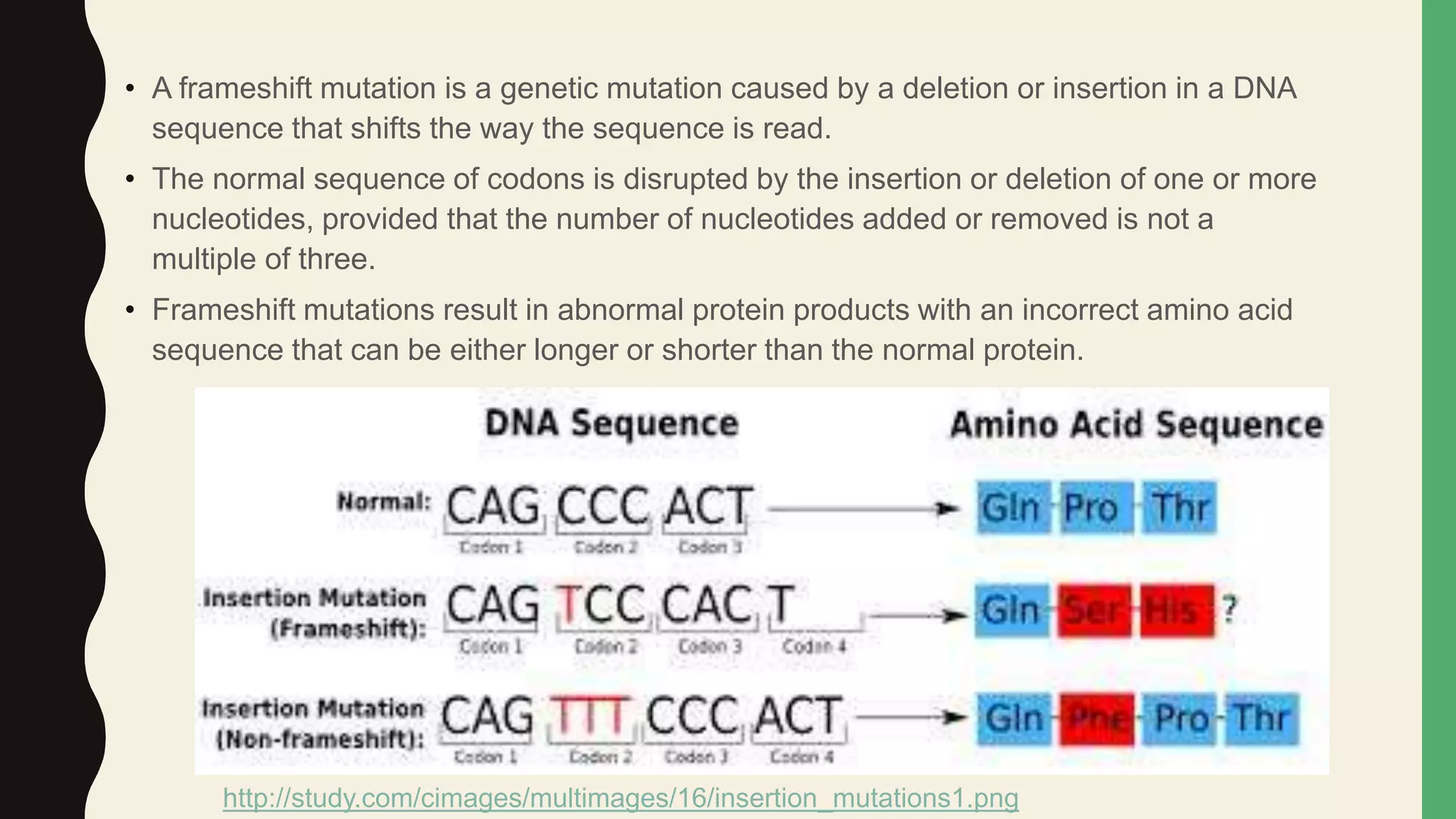Types of Mutation Frameshift, Reversion and Spontaneous PPT
