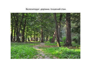 Велосипедні доріжки. Існуючий стан.
 