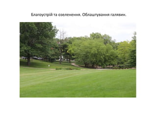 Благоустрій та озеленення. Облаштування галявин.
 