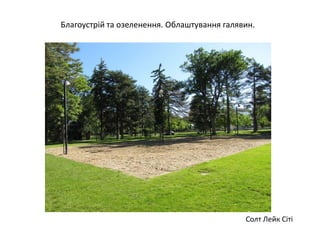 Солт Лейк Сіті
Благоустрій та озеленення. Облаштування галявин.
 