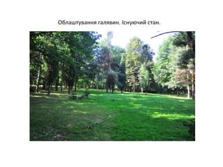 Облаштування галявин. Існуючий стан.
 