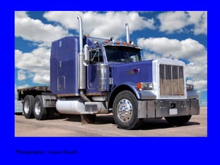 Photographer: Louise Roach 