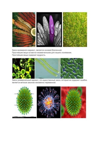 Закон всемирного вариант, является основой Вселенной.
Простейшие вещи остаются незамеченными для нашего понимания.
Простейшие вещи содержат мудрость.




Закон универсальный вариант, это единственный закон, который не содержит ошибок,
является вечным законом неизменно переменной.
 