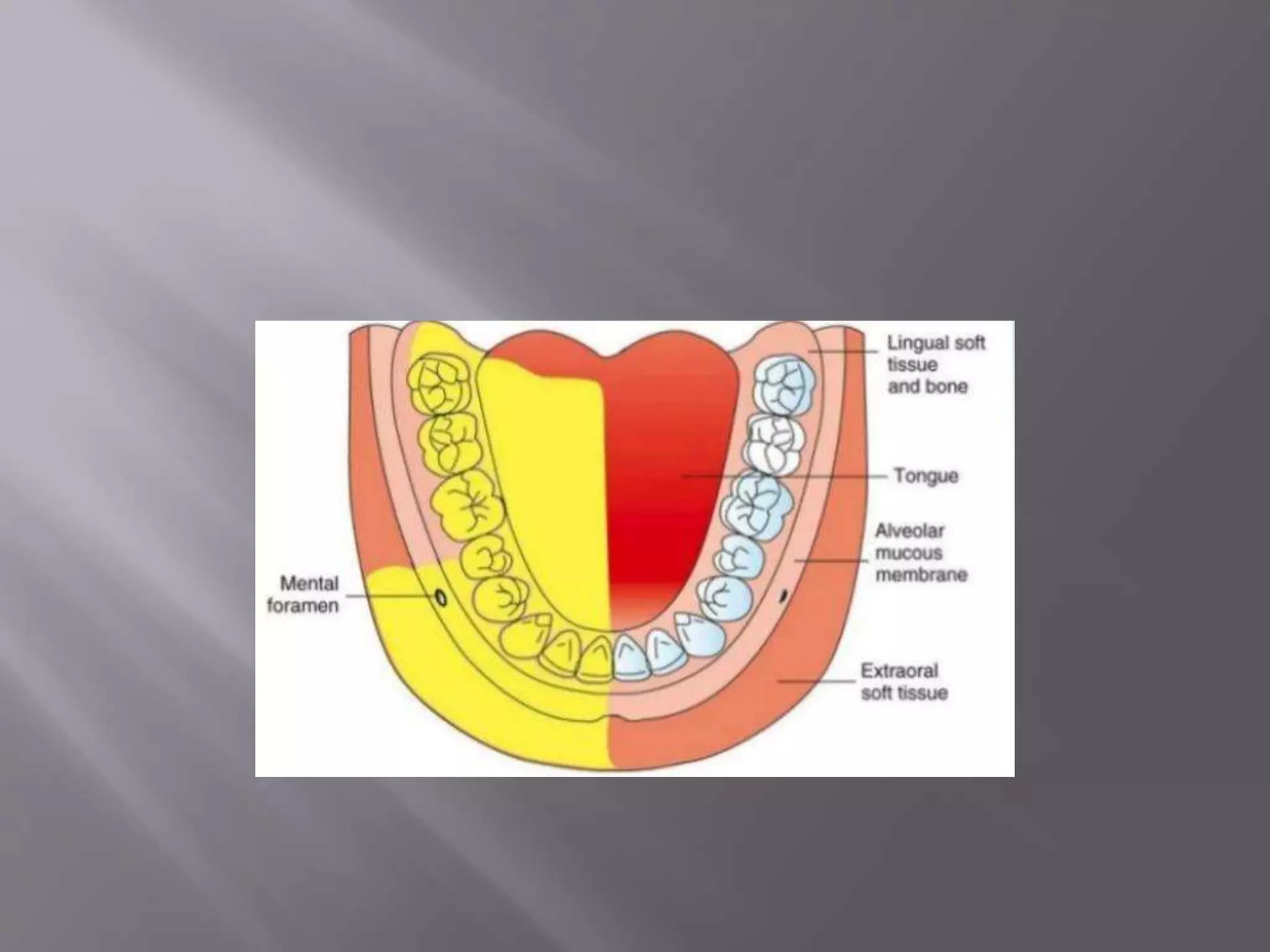 Mandibular injection techniques | PPTX