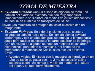 toma-de-muestra-orina-heces-etc-ppt