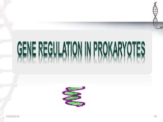 REGULATION OF GENE EXPRESSION IN PROKARYOTES & EUKARYOTES | PPTX