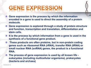REGULATION OF GENE EXPRESSION IN PROKARYOTES & EUKARYOTES | PPTX