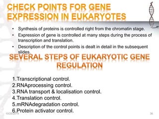 REGULATION OF GENE EXPRESSION IN PROKARYOTES & EUKARYOTES | PPTX