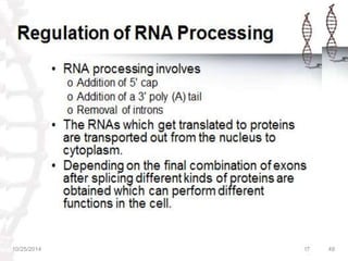 REGULATION OF GENE EXPRESSION IN PROKARYOTES & EUKARYOTES | PPTX