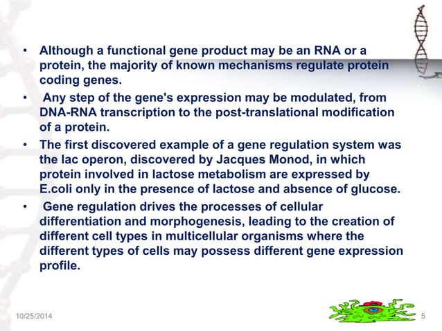 REGULATION OF GENE EXPRESSION IN PROKARYOTES & EUKARYOTES | PPTX ...