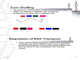 REGULATION OF GENE EXPRESSION IN PROKARYOTES & EUKARYOTES | PPTX