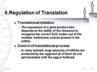 REGULATION OF GENE EXPRESSION IN PROKARYOTES & EUKARYOTES | PPTX