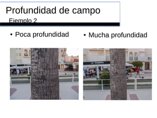 Profundidad de campo
● Poca profundidad ● Mucha profundidad
Ejemplo 2
 
