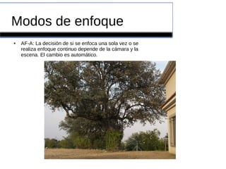 Modos de enfoque
● AF-A: La decisión de si se enfoca una sola vez o se
realiza enfoque continuo depende de la cámara y la
escena. El cambio es automático.
 