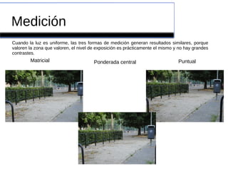 Medición
Matricial Ponderada central Puntual
Cuando la luz es uniforme, las tres formas de medición generan resultados similares, porque
valoren la zona que valoren, el nivel de exposición es prácticamente el mismo y no hay grandes
contrastes.
 