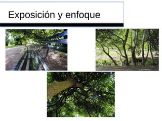 Exposición y enfoque
 