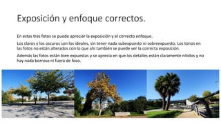 Exposición y enfoque correctos.
En estas tres fotos se puede apreciar la exposición y el correcto enfoque.
Los claros y los oscuros son los ideales, sin tener nada subexpuesto ni sobreexpuesto. Los tonos en
las fotos no están alterados con lo que ahí también se puede ver la correcta exposición.
Además las fotos están bien expuestas y se aprecia en que los detalles están claramente nítidos y no
hay nada borroso ni fuera de foco.
 