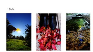 • Otoño:
 