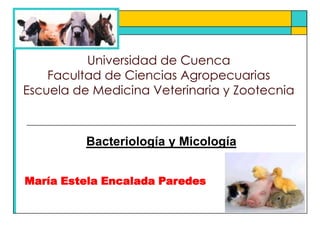 Universidad de CuencaFacultad de Ciencias Agropecuarias Escuela de Medicina Veterinaria y Zootecnia Bacteriología y Micología María Estela Encalada Paredes 