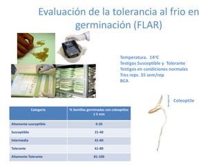 Toma de datos e instrumentos de analisis