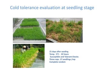 Toma de datos e instrumentos de analisis