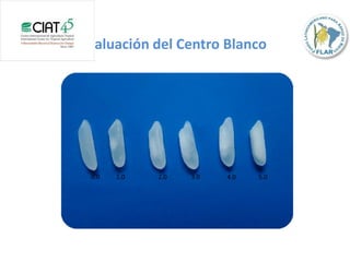 Toma de datos e instrumentos de analisis