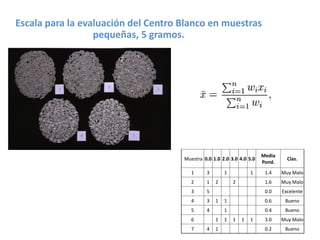 Toma de datos e instrumentos de analisis